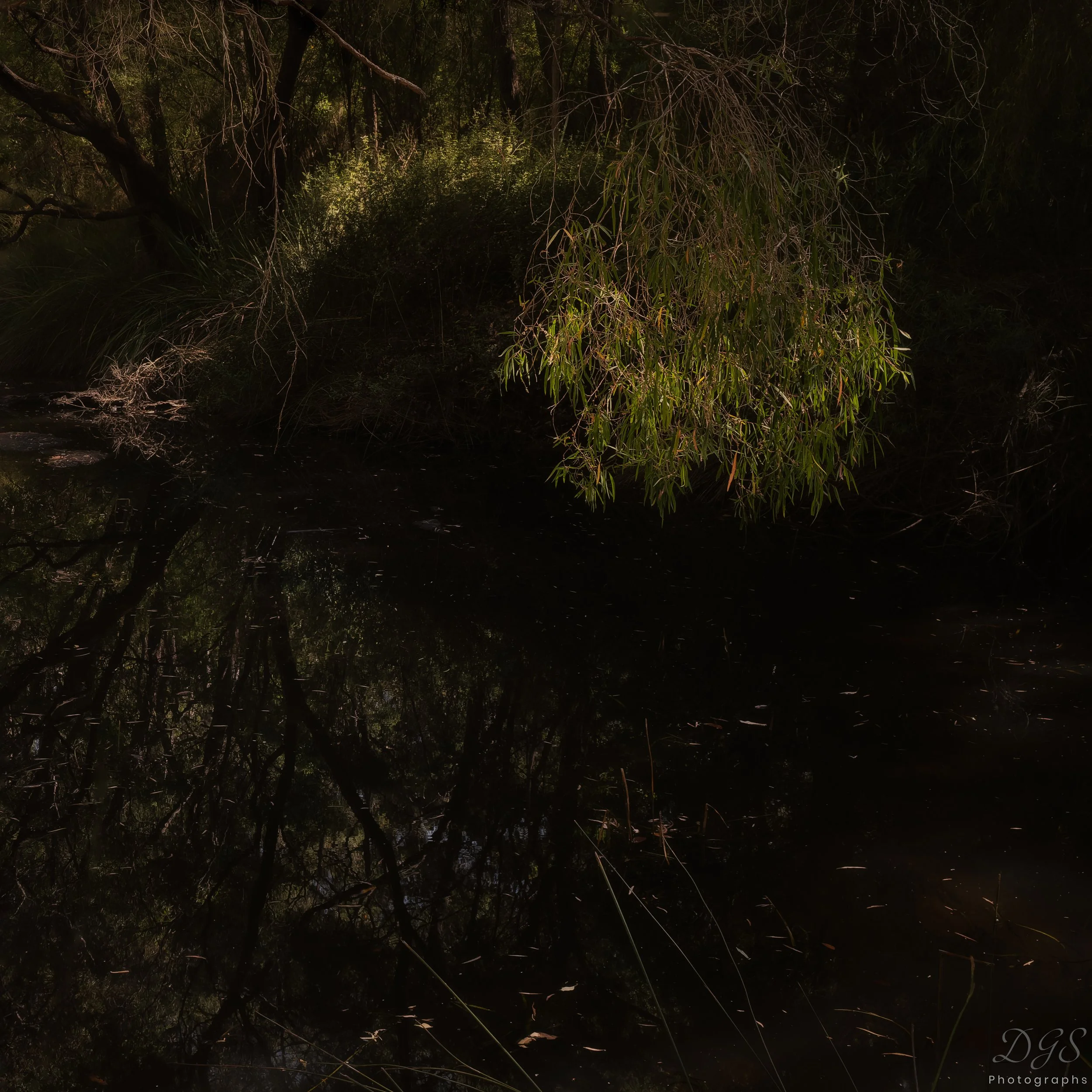 Secret Places-9.jpg