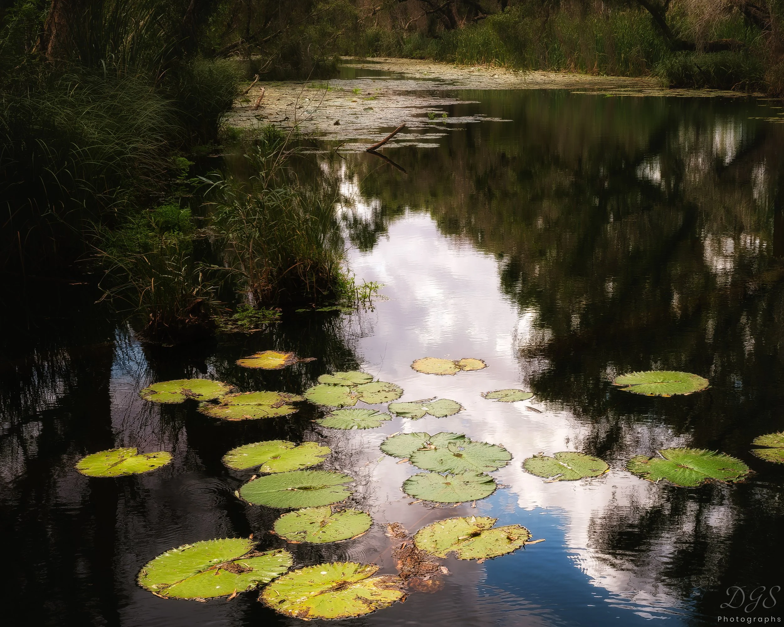 Impressions-7.jpg