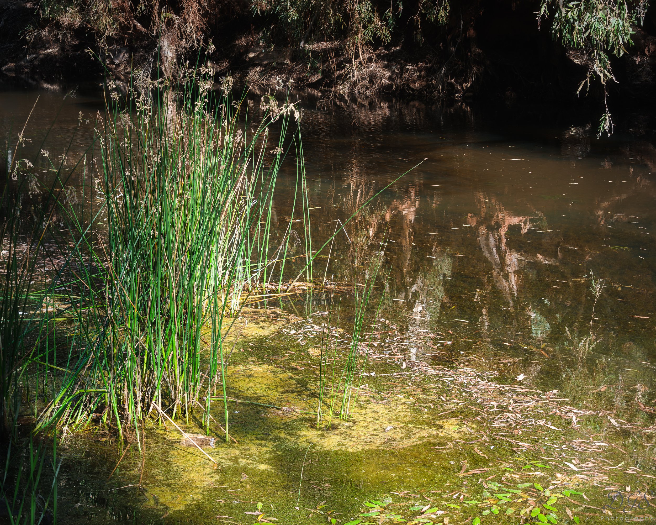 Secret Places-15.jpg