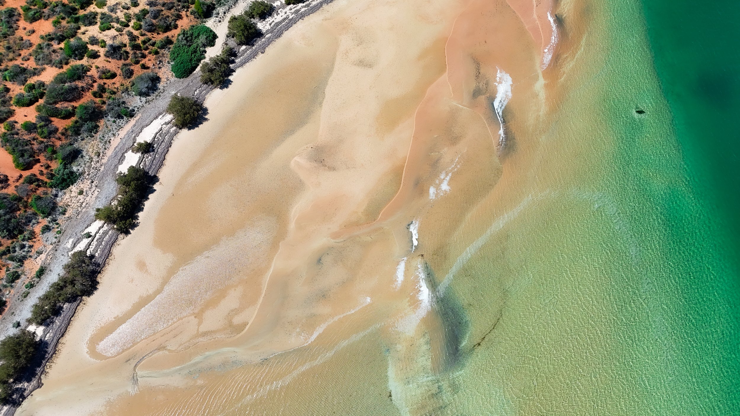 Lagoon Paint