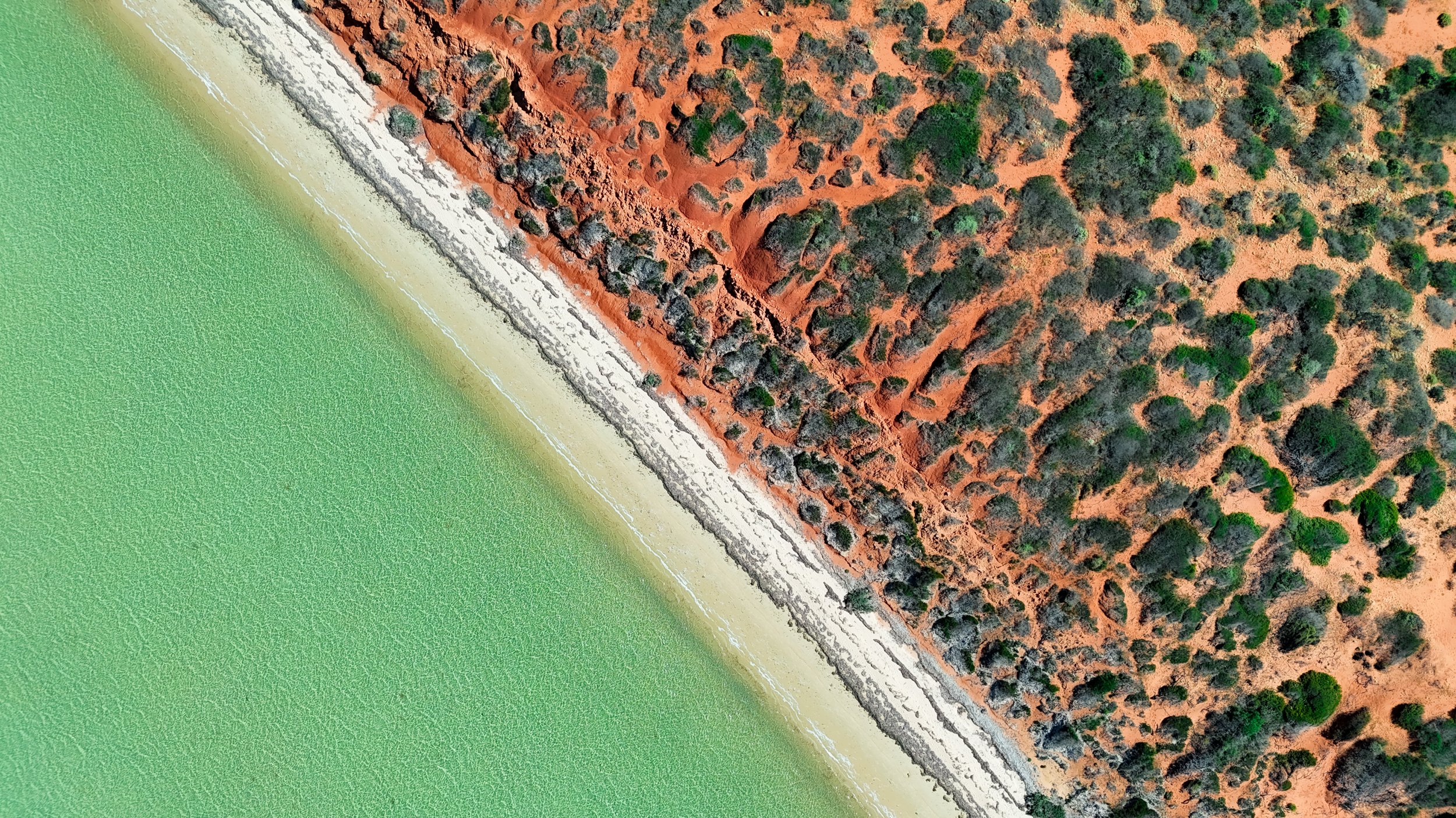 Lagoon