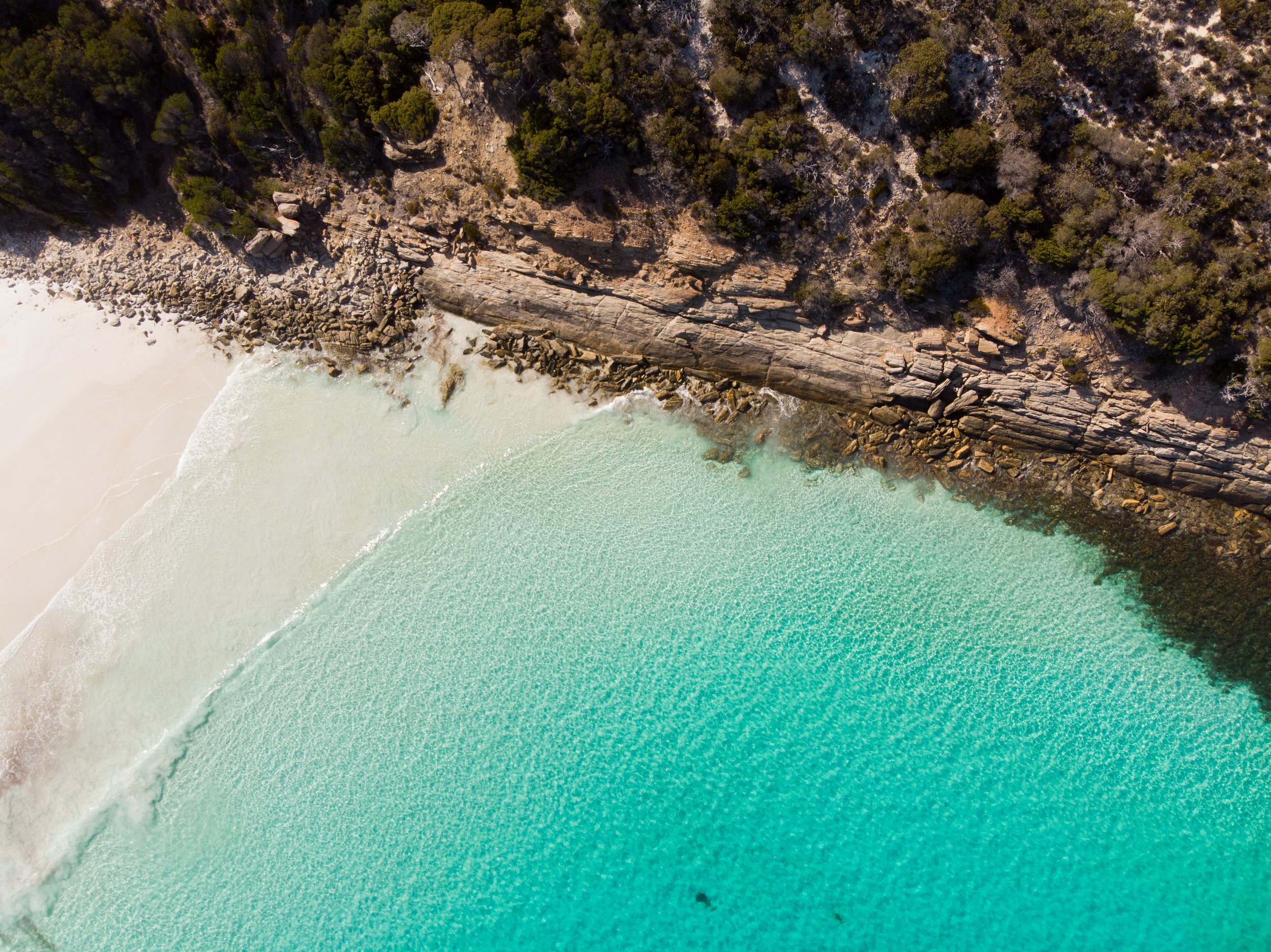 Bush to Beach