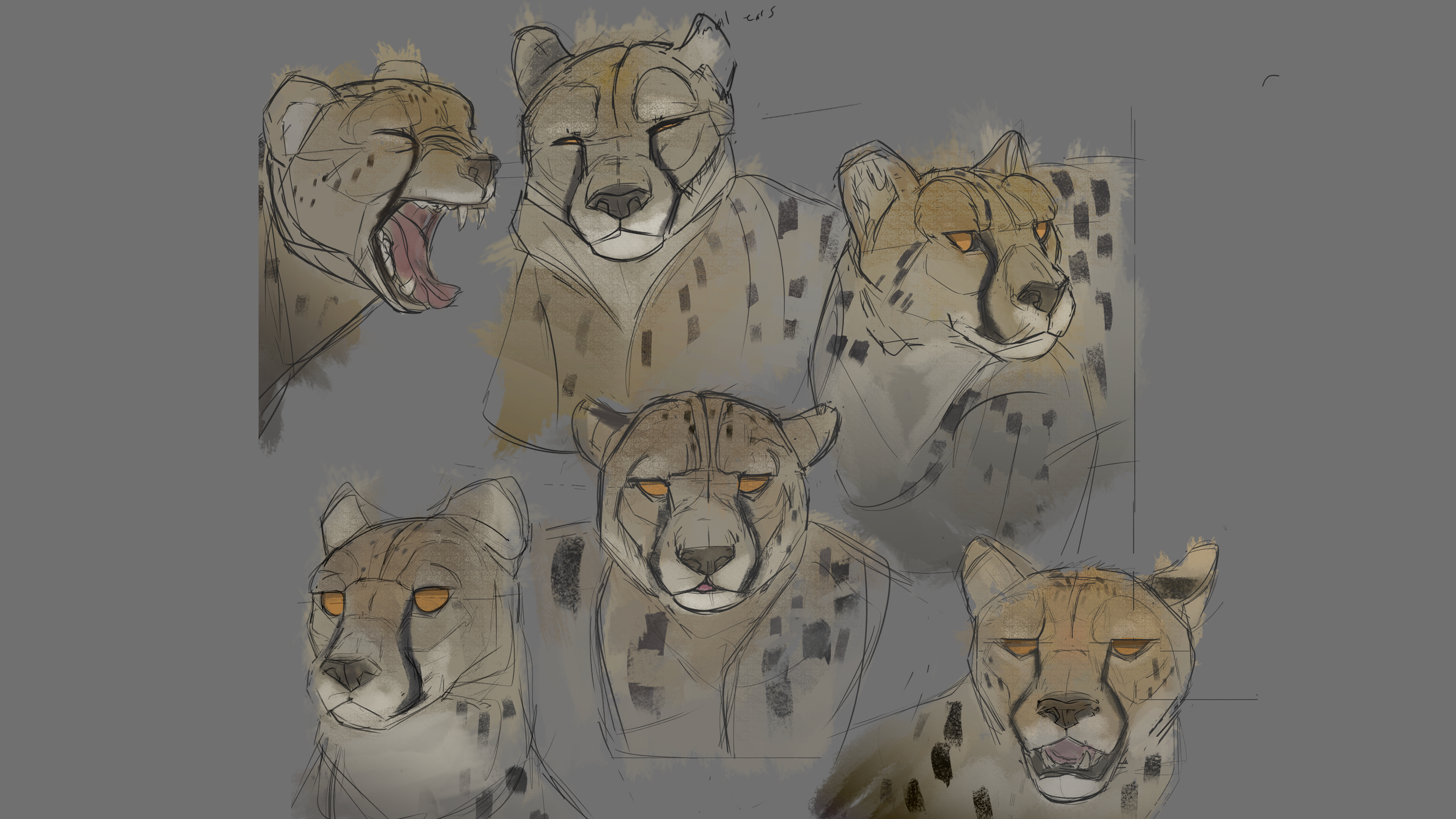 cheetah-heads.png