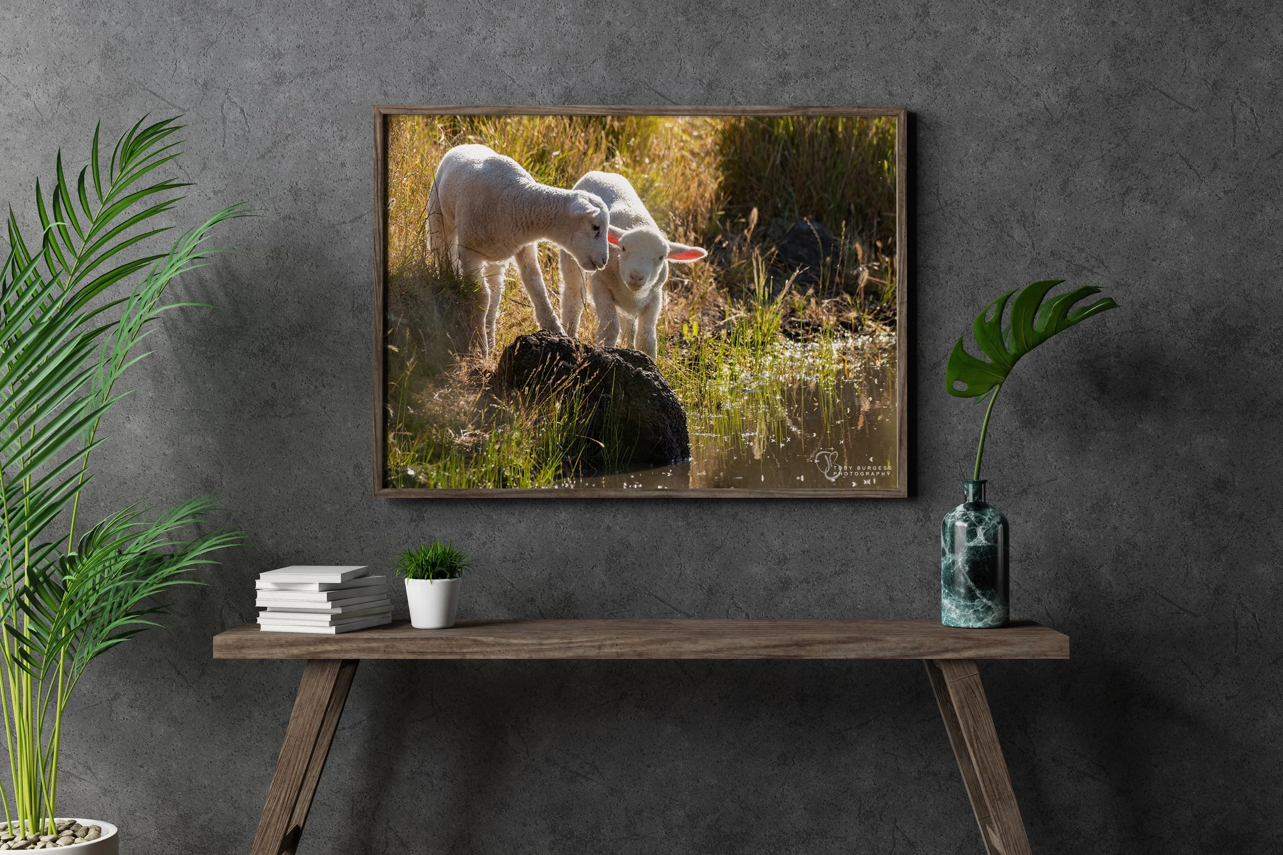 Lamb2_mockup.jpg