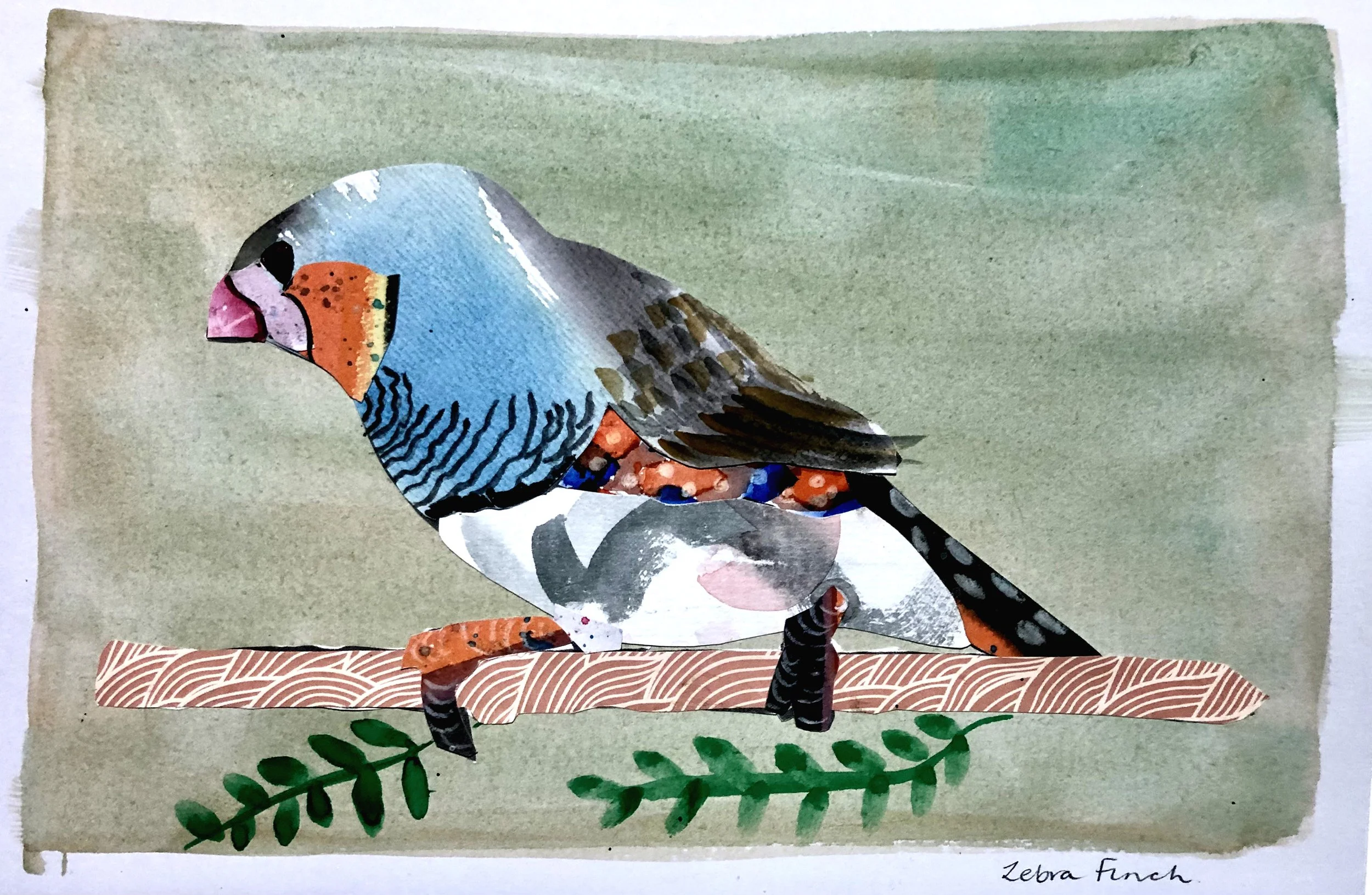 Bird Collage