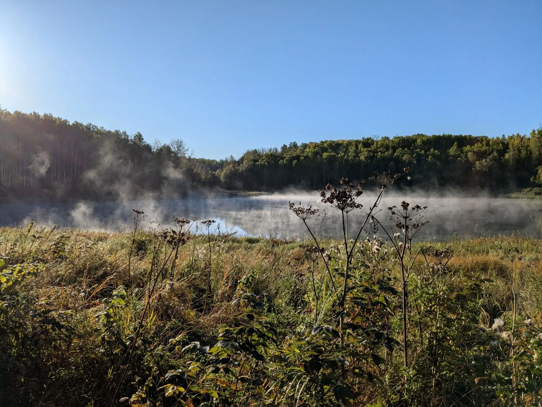Peaceful outdoor scene symbolizing rest and reflection in sustainable business growth.