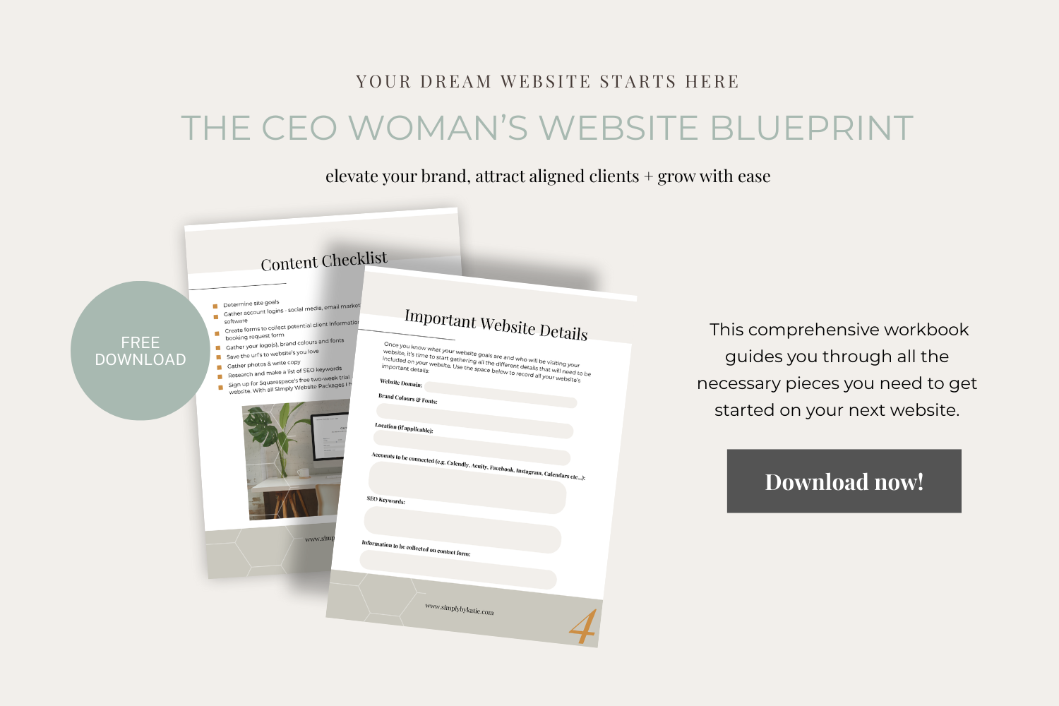 A comprehensive website planning guide for women in business ready to plan their next website.
