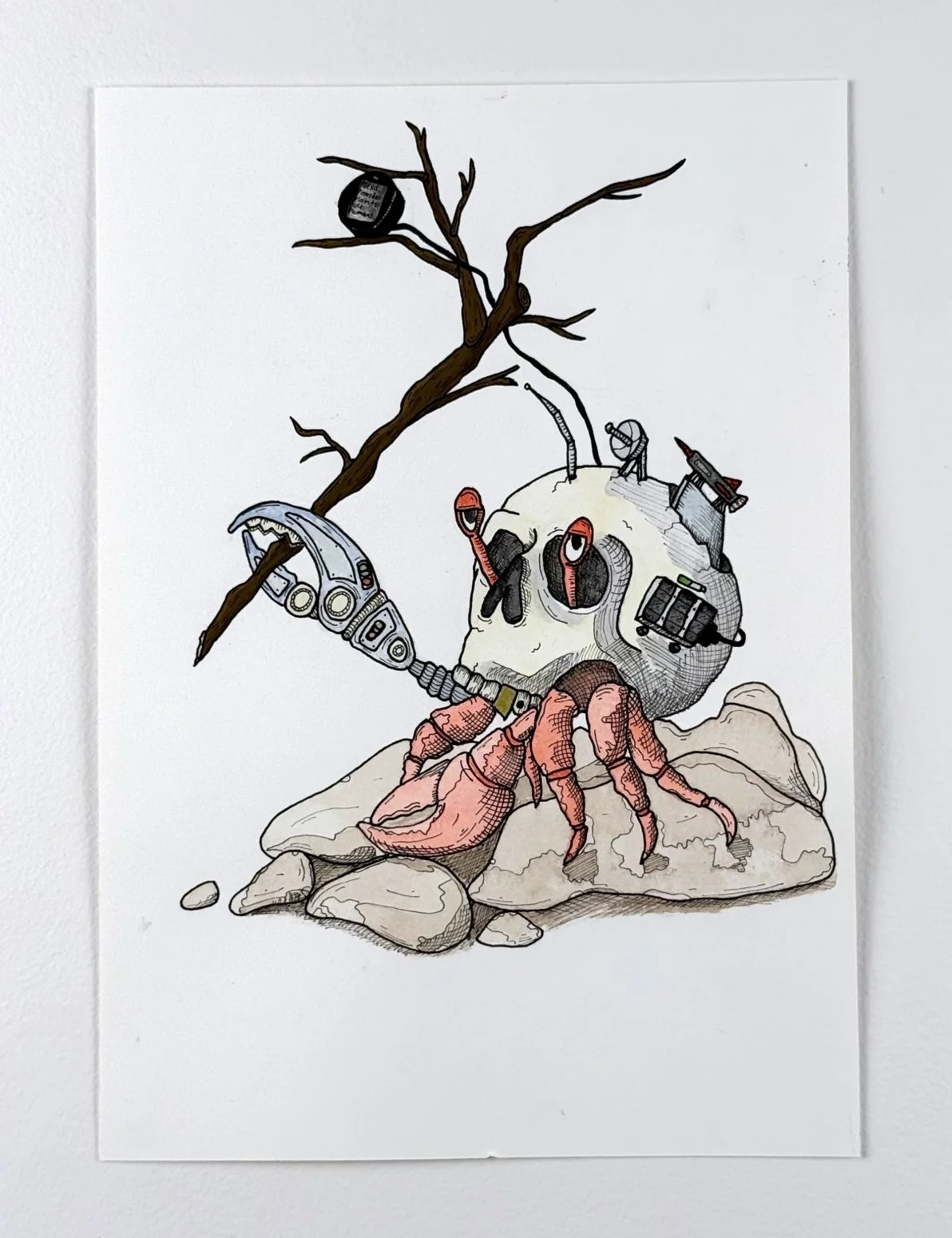 crabot. watercolor and ink on paper. 7.25x10.25". 2026