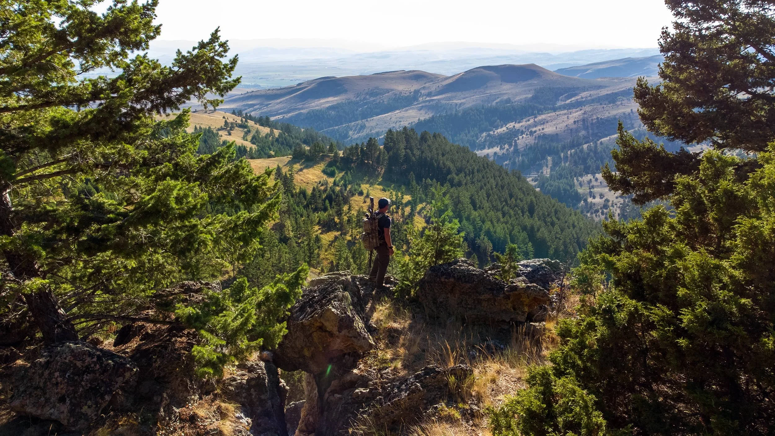Man standing on rocks in a forested mountain landscape, with rolling hills and mountains in the background, surrounded by tall evergreen trees.