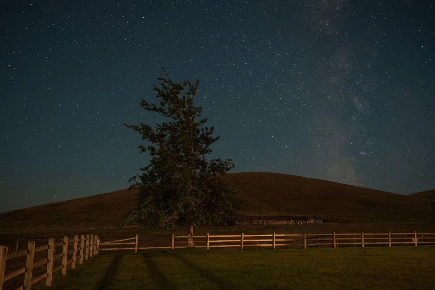Nighttime landscape with a large tree, rolling hills, a wooden fence, and a starry sky.
