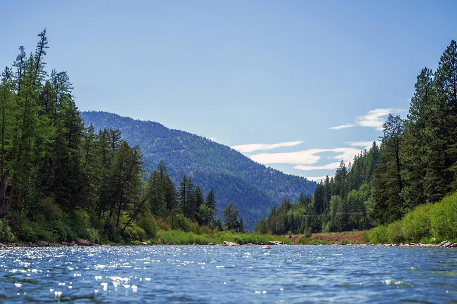 A river flowing through a forest with green trees and mountains in the background under a blue sky with some clouds.