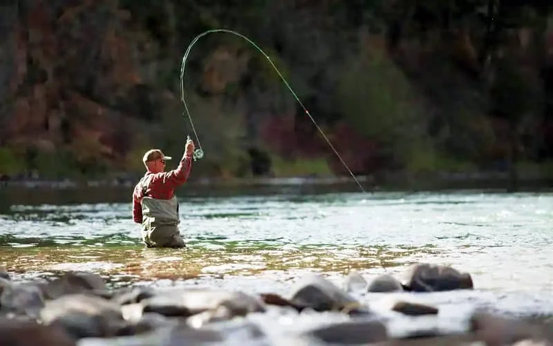 A person fishing in a river, standing in shallow water near rocks, casting a line into the water with a forested background.