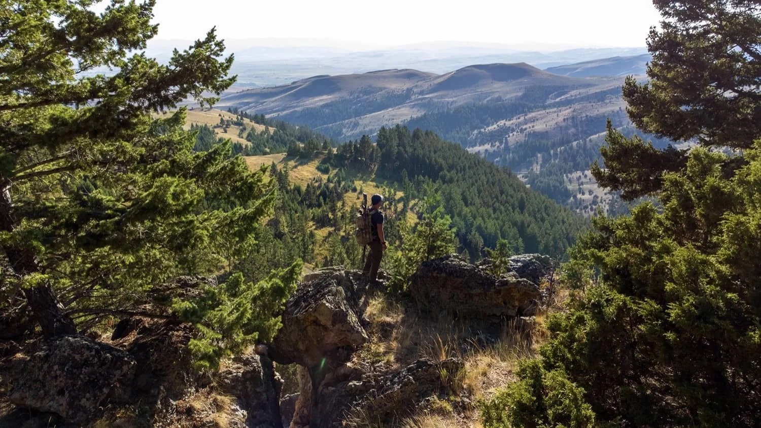 A hiker stands on rocky terrain surrounded by green trees, overlooking a valley with rolling hills and mountains in the distance during daytime.