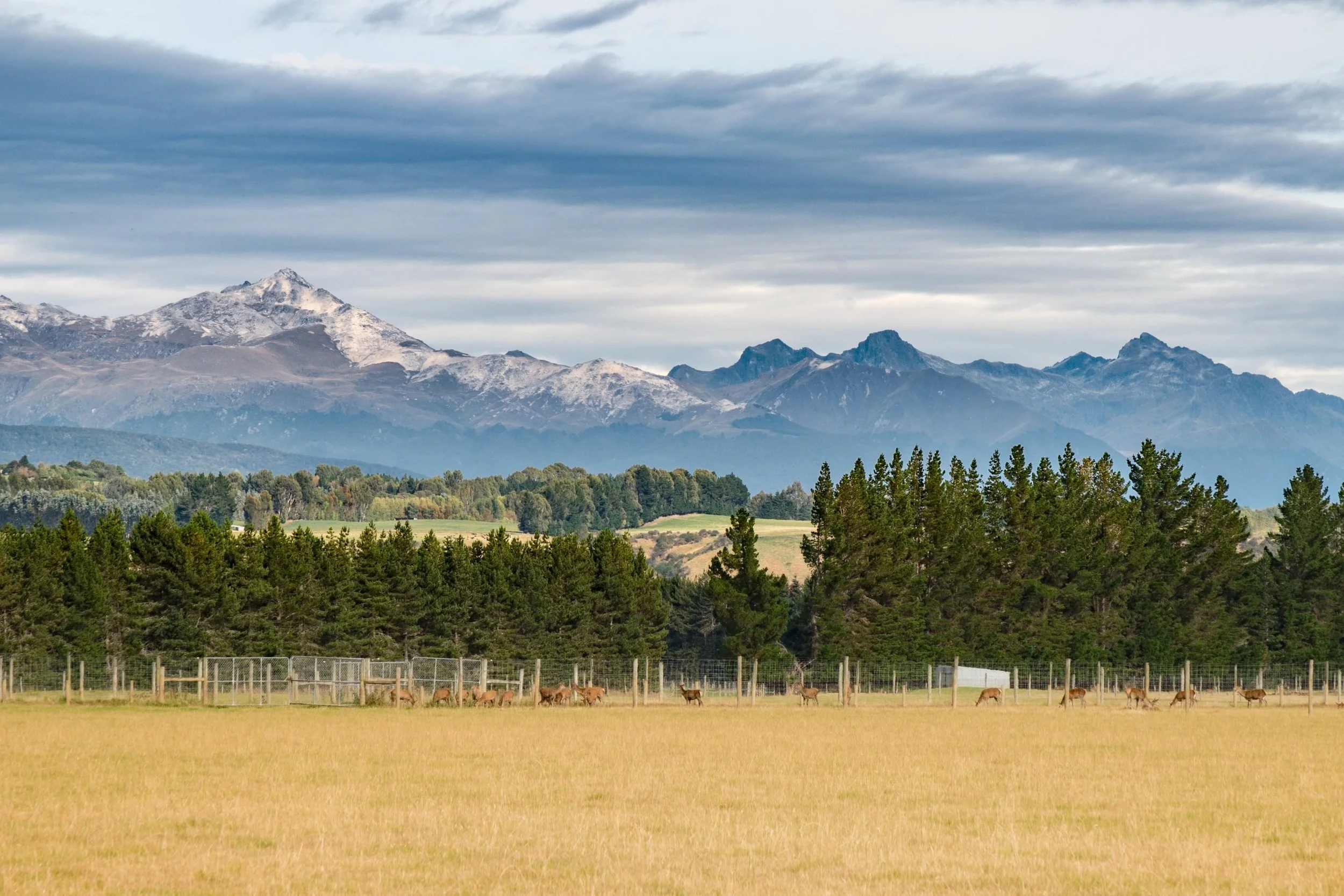 Rangiora, North Canterbury, New Zealand