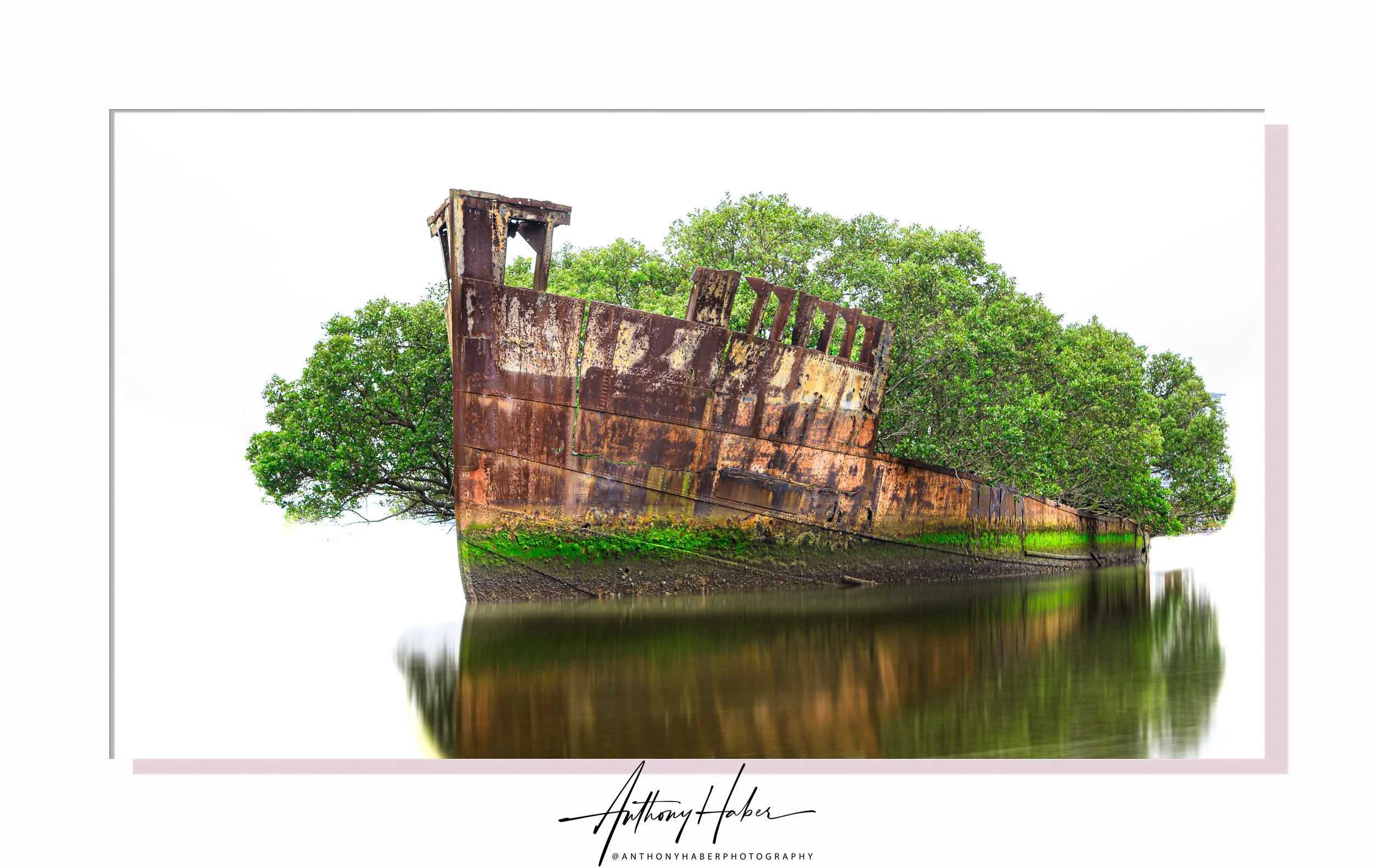 SS Ayrfield shipwreck at Homebush New South Wales.