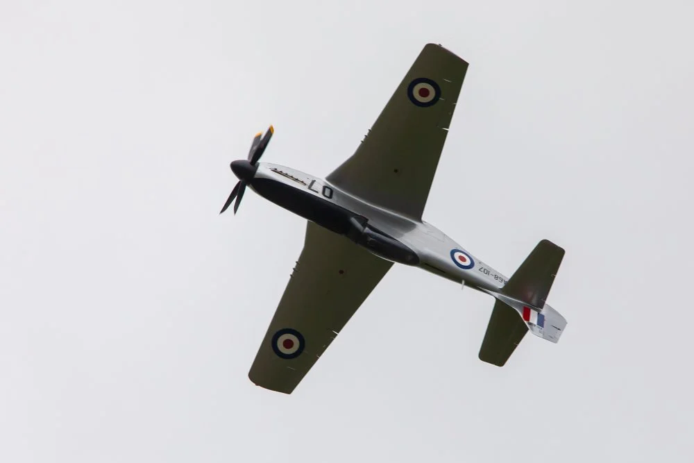 JUPITER TIF-3946.JPG