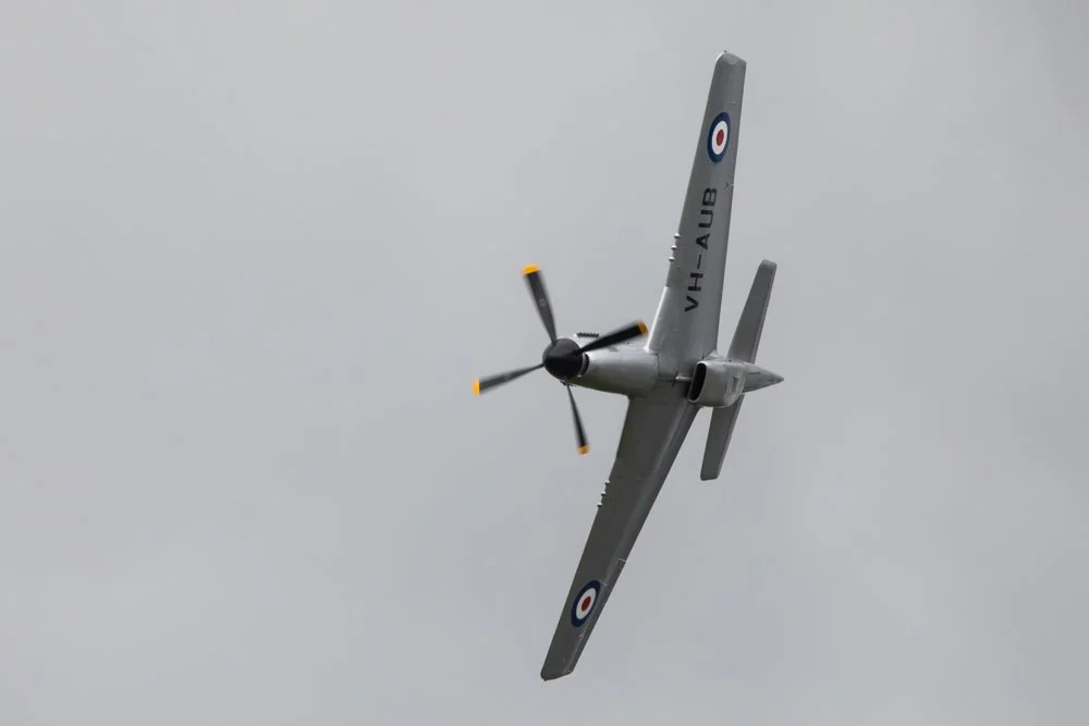 JUPITER TIF-3901.JPG