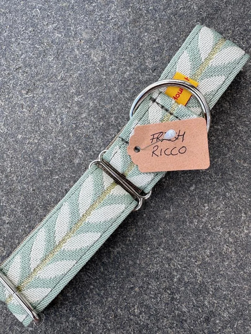 JAQUARD - 1.5" MARTINGALE ONLY - FRESH RICCO NO LEAD)  