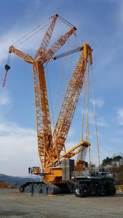 LR11000 (2).jpg