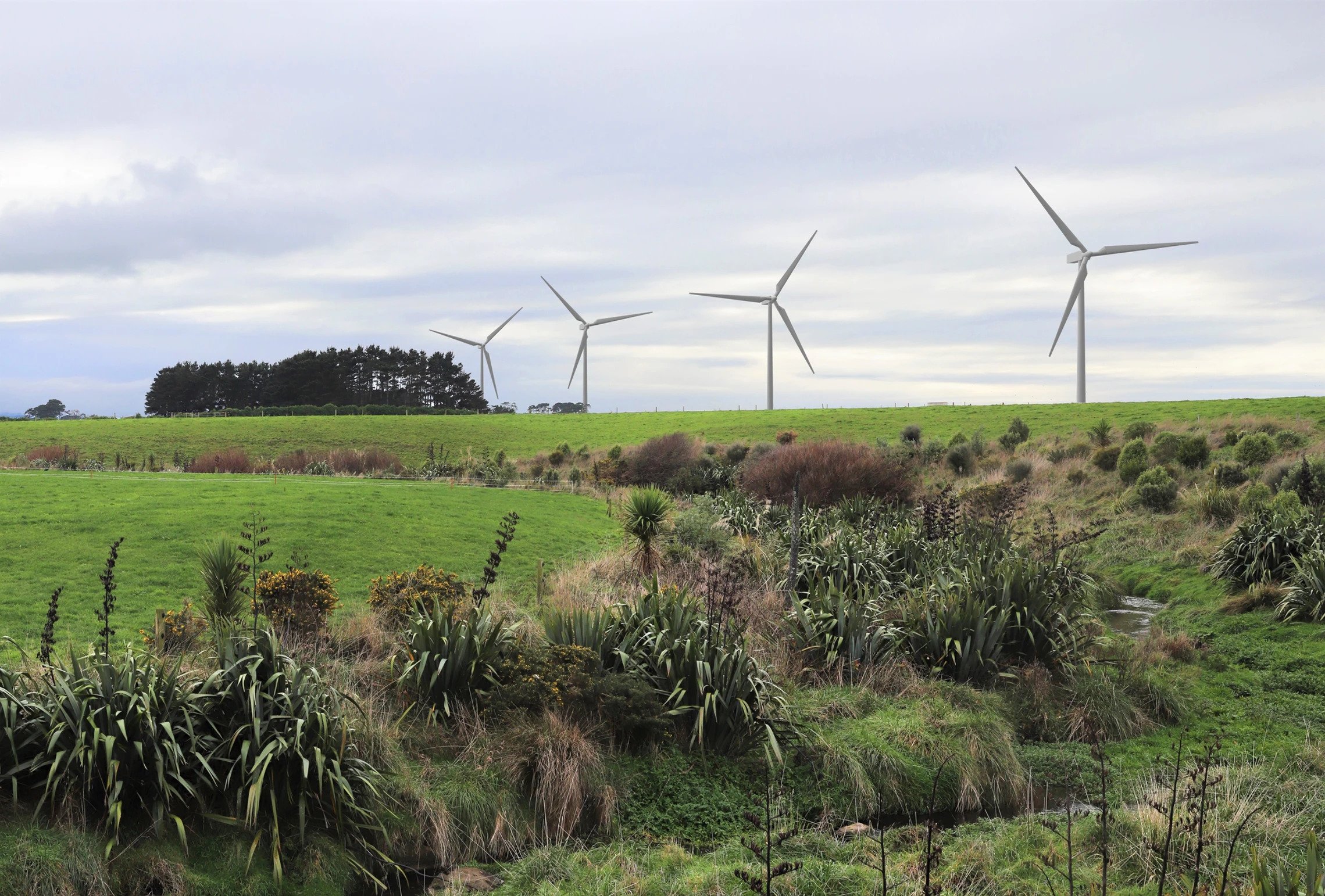 Kaipuni Wind Farm New Zealand