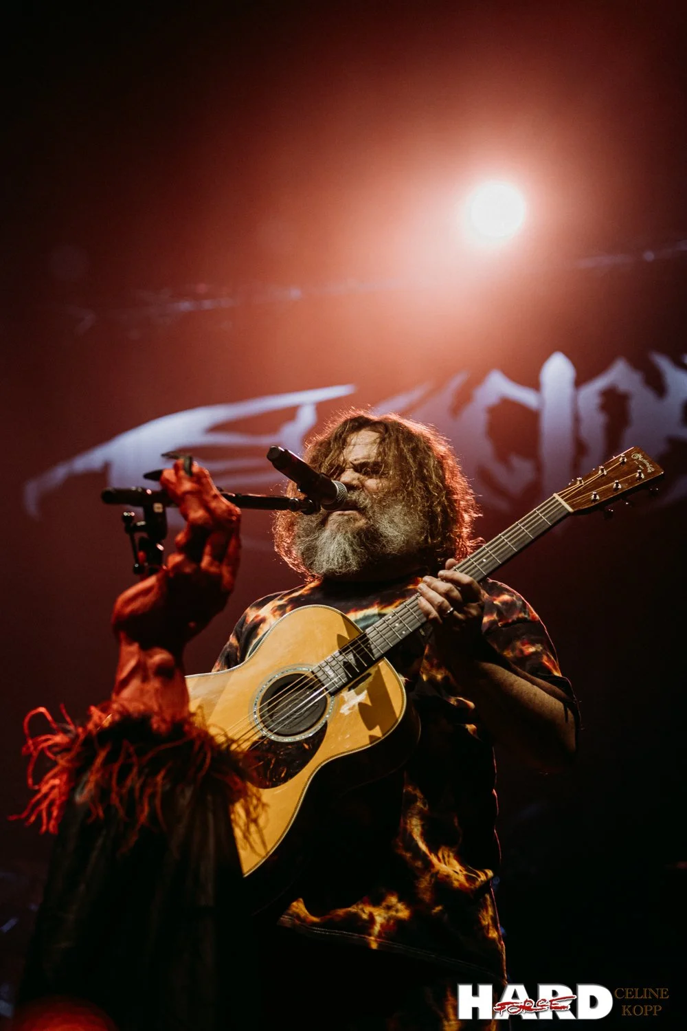 photographe live paris Tenacious D