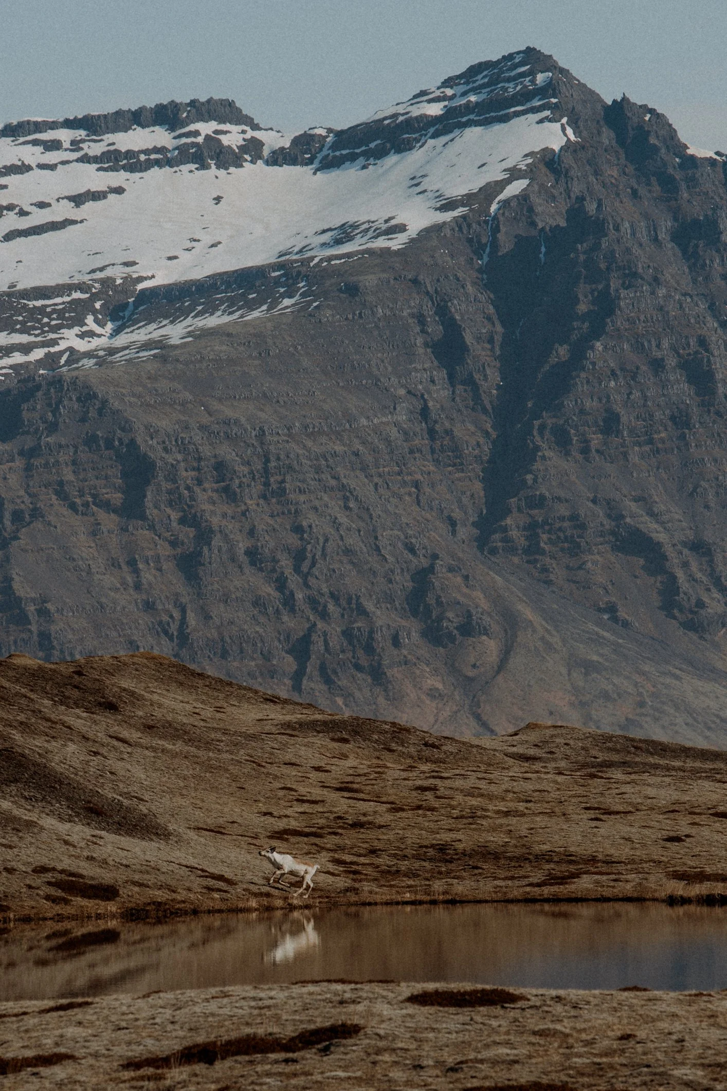 photographe islande