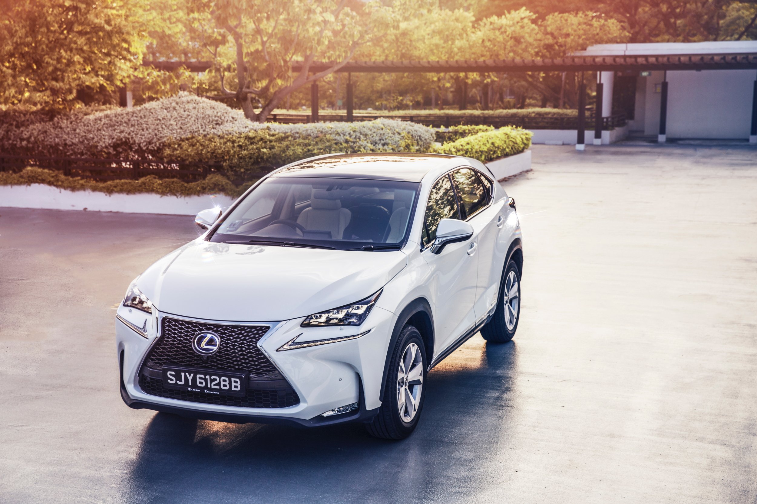 Lexus_lifestyle_6alowres.jpg