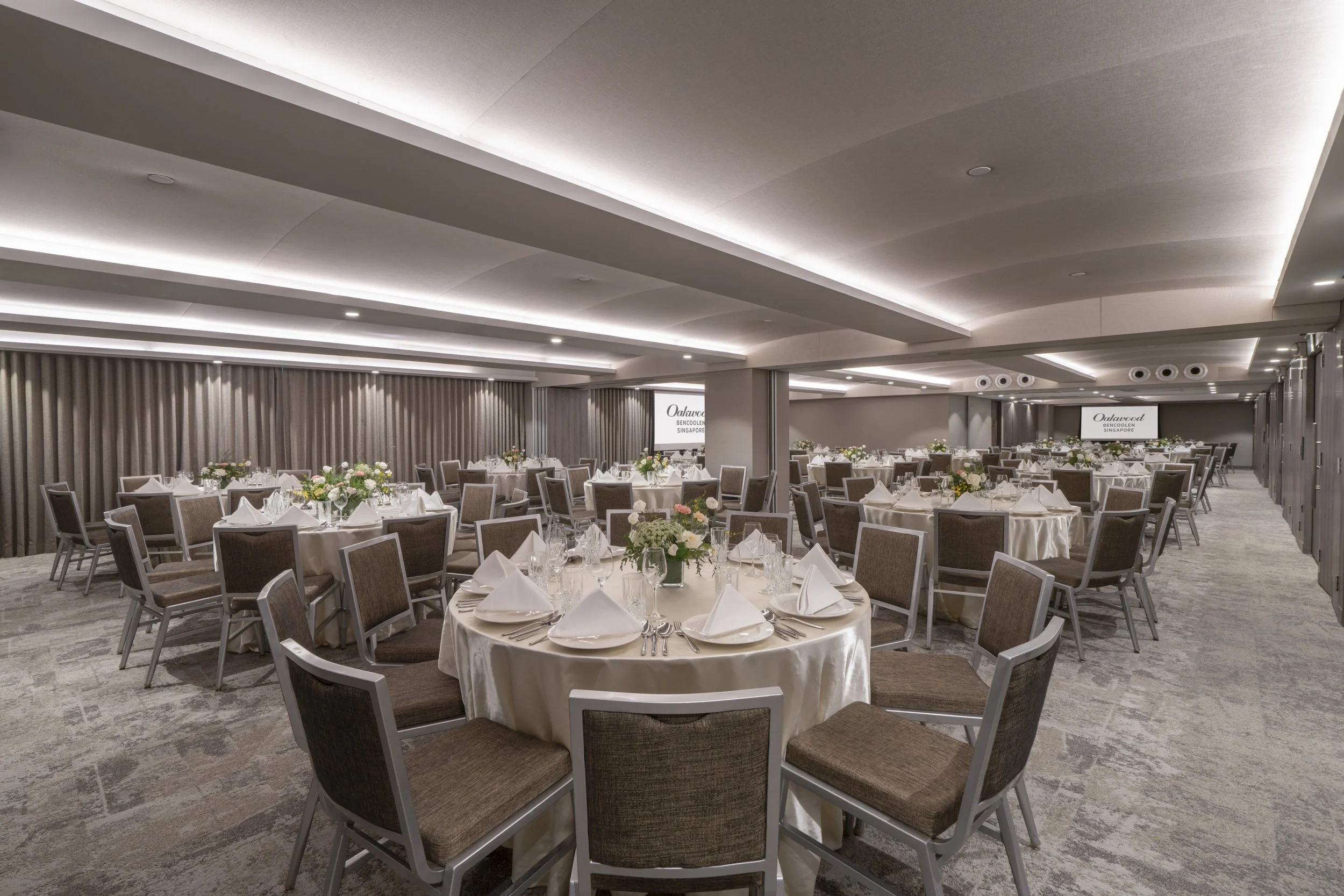 OBS WEB 031.jpg