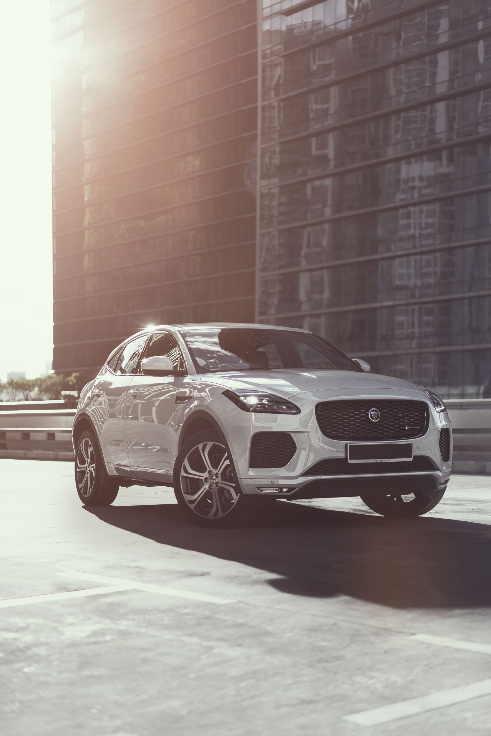 Tftstudio_Jaguar e pace_web_001_2.jpg