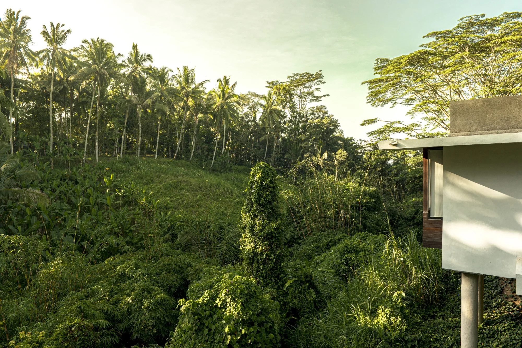 Tftstudio_Alila_web_001_18.jpg