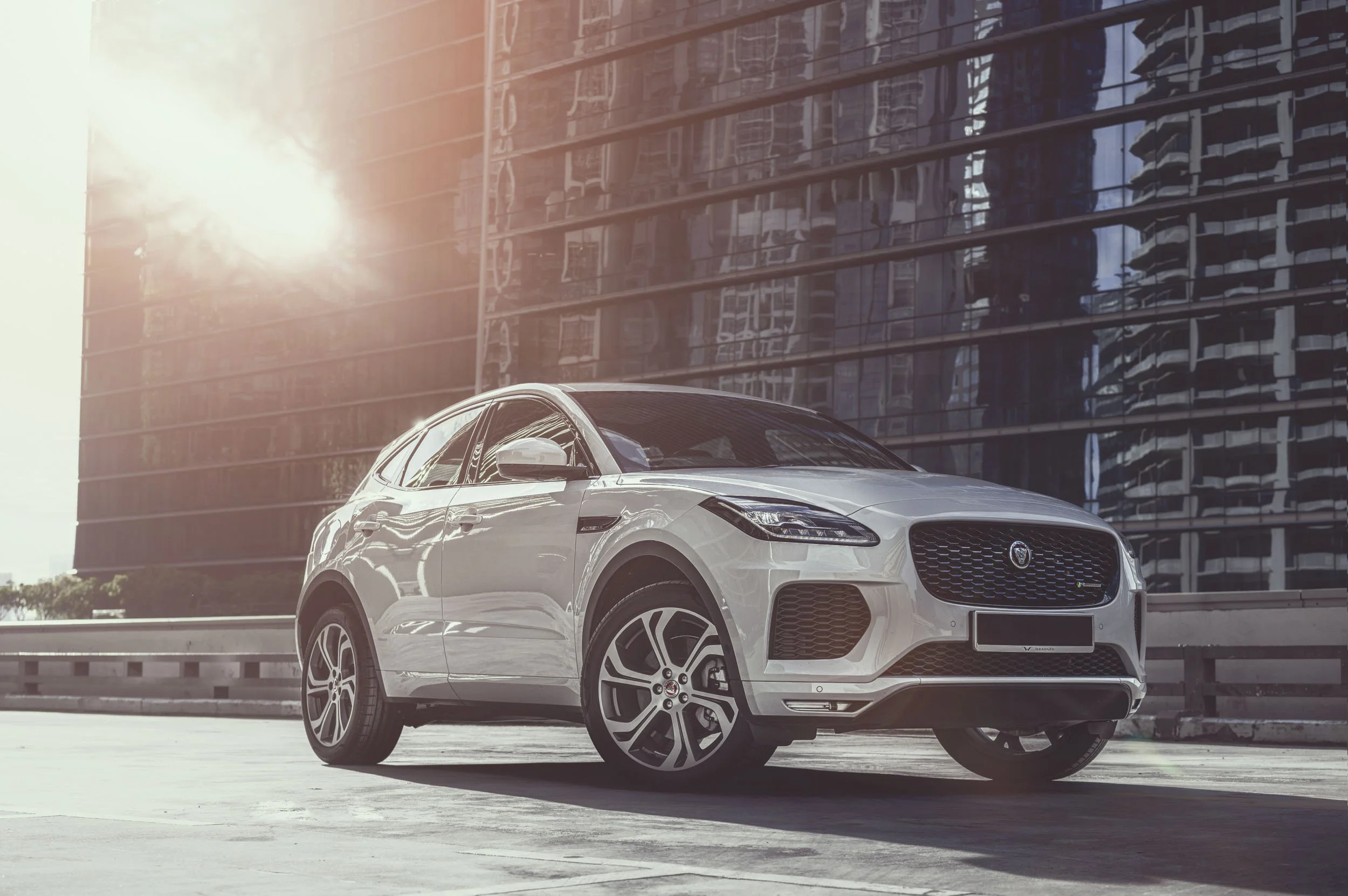 Tftstudio_Jaguar e pace_web_001_1.jpg