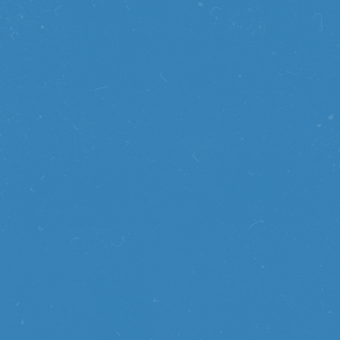55.gif