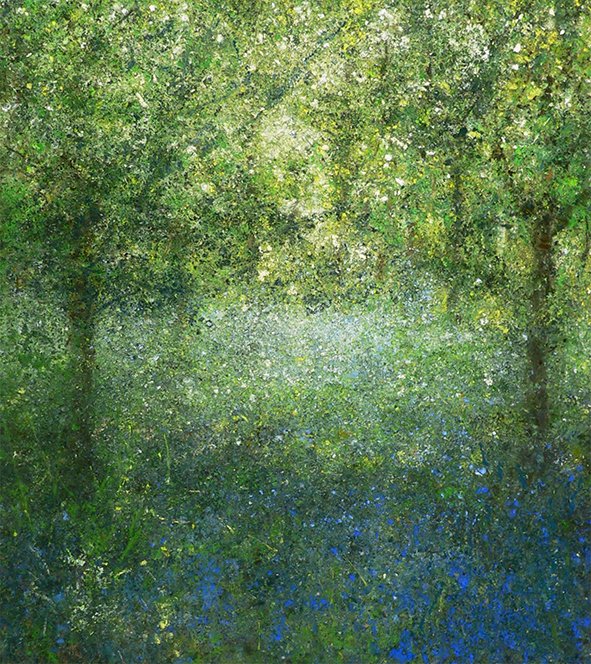 Bluebell-Wood.jpg