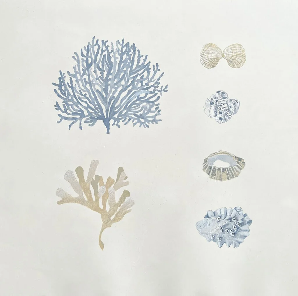 seaside-studies.jpeg