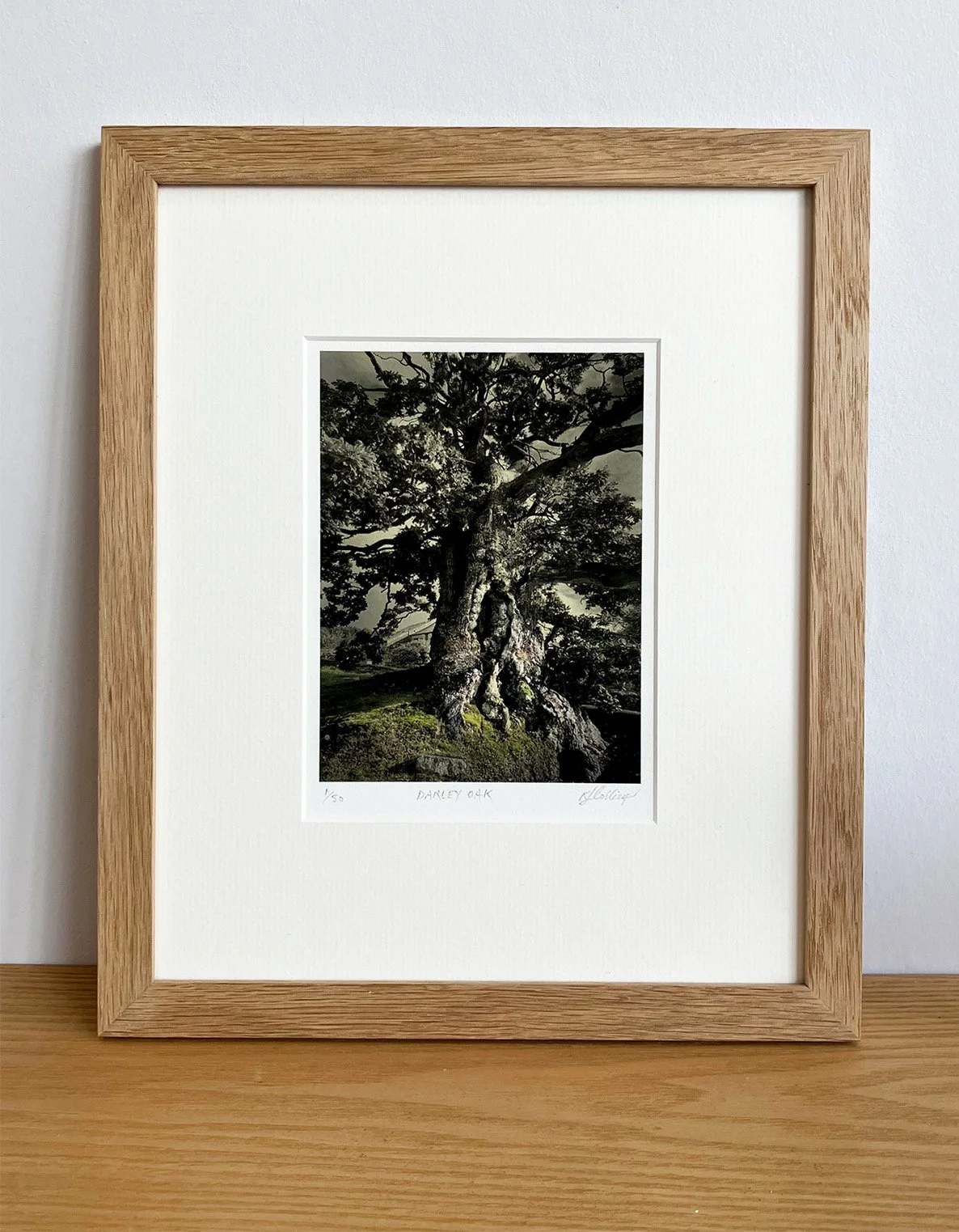 darley-oak-framed.jpg