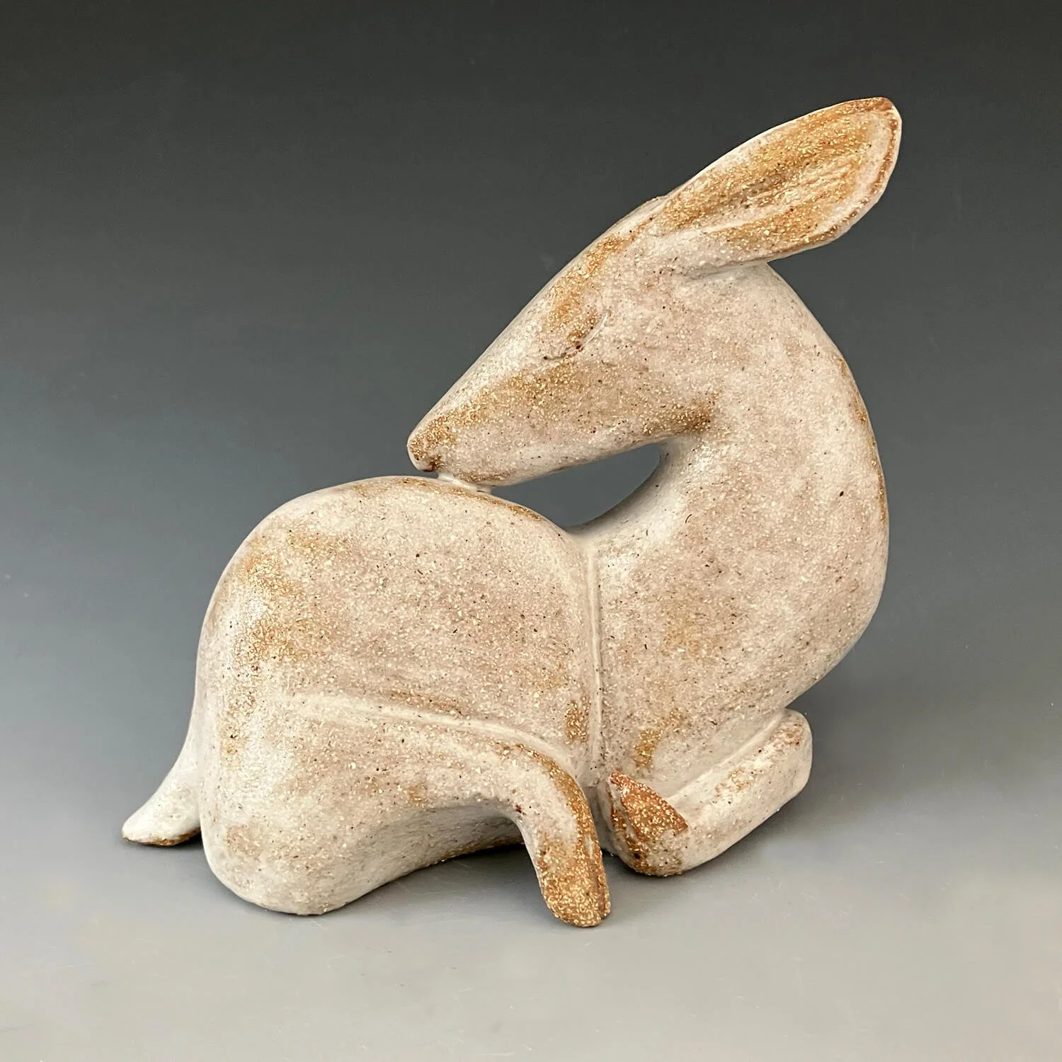 fawn-26.jpg