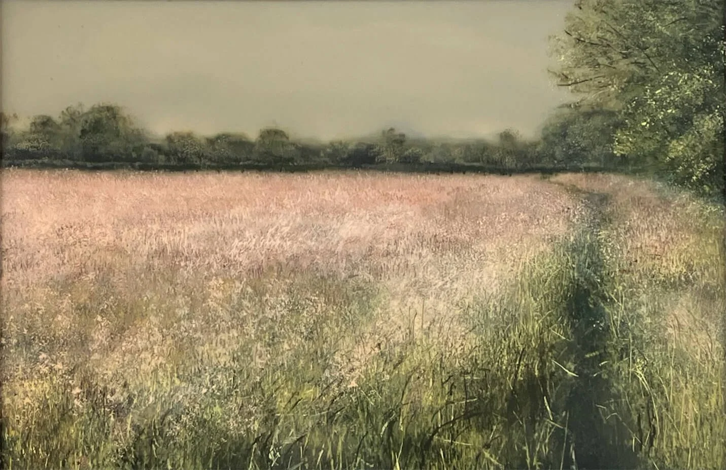 summer-haze.jpg