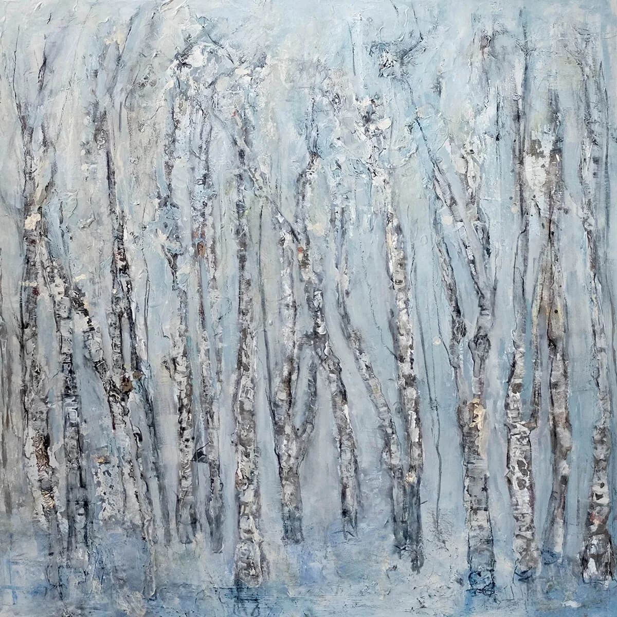 birch forest.jpg