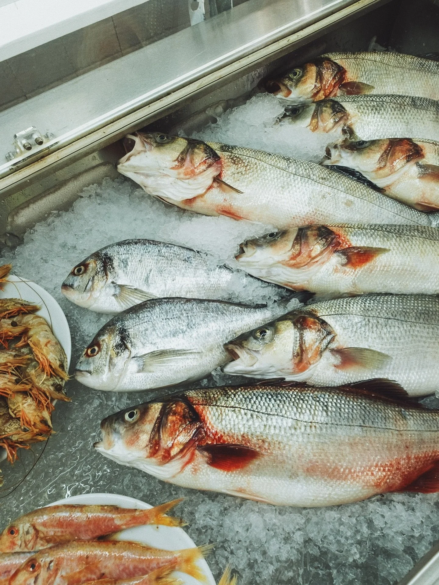 There may be plenty of fish in the sea, but there&rsquo;s also plenty of fish to be found in our 𝗳𝗿𝘂𝗶𝘁𝘀 𝗱𝗲 𝗺𝗲𝗿 fridge.

Caught daily from our local waters, prepared and served to perfection 👌🏻

⤑ ⤑ ⤑ ⤑ ⤑

Denizde balık &ccedil;ok&rdquo; 