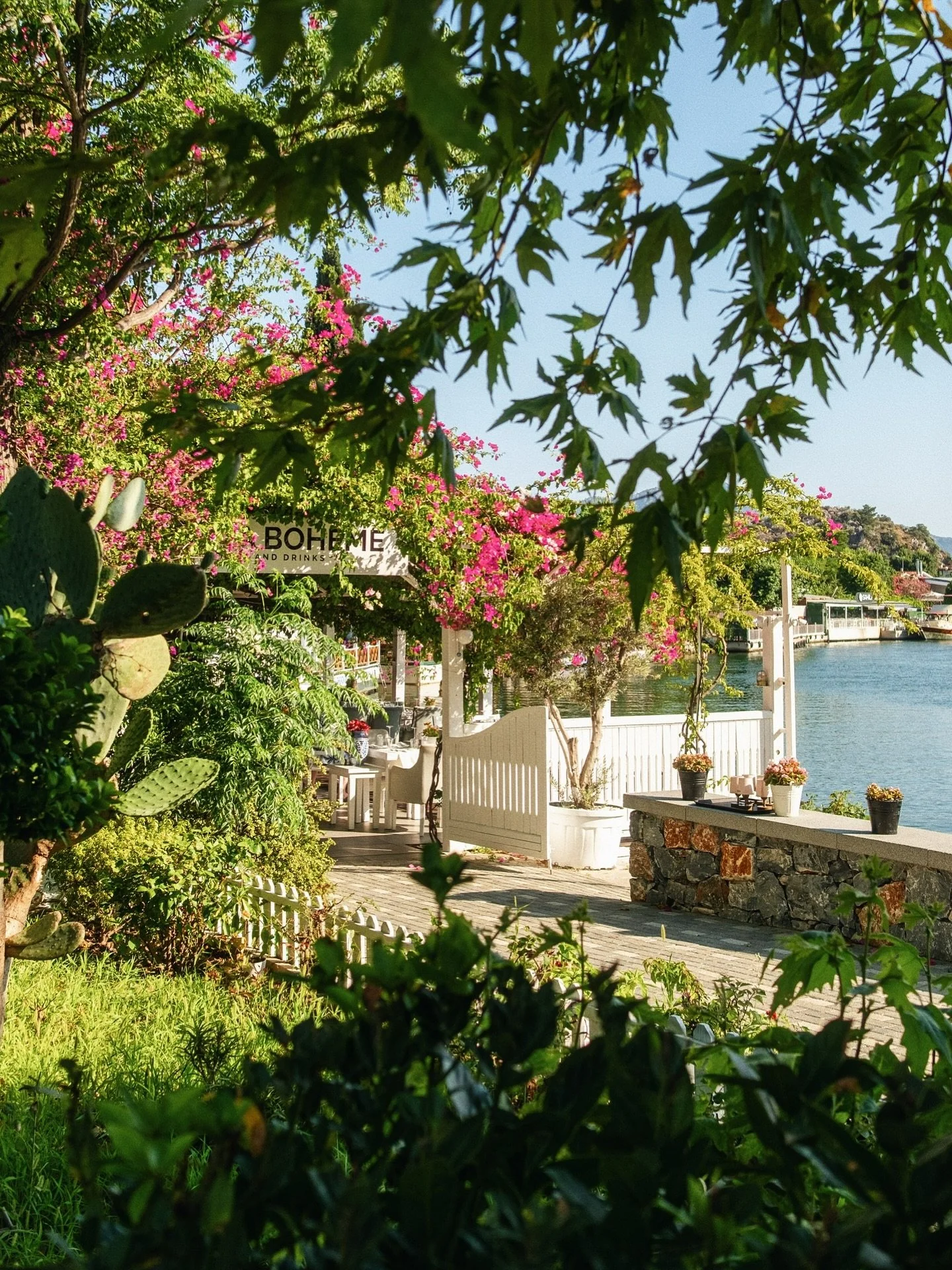 Dalyan&rsquo;s best kept 𝘀𝗲𝗰𝗿𝗲𝘁 🤫 

⤑ ⤑ ⤑ ⤑ ⤑

Dalyan&rsquo;ın gizli hazinesi 🤫

⤑ ⤑ ⤑ ⤑ ⤑

Open Daily 09:00 - 00:00

Reservations +90 507 878 8348

| www.labohemedalyan.com | 

#labohemedalyan #dalyan #ekincik