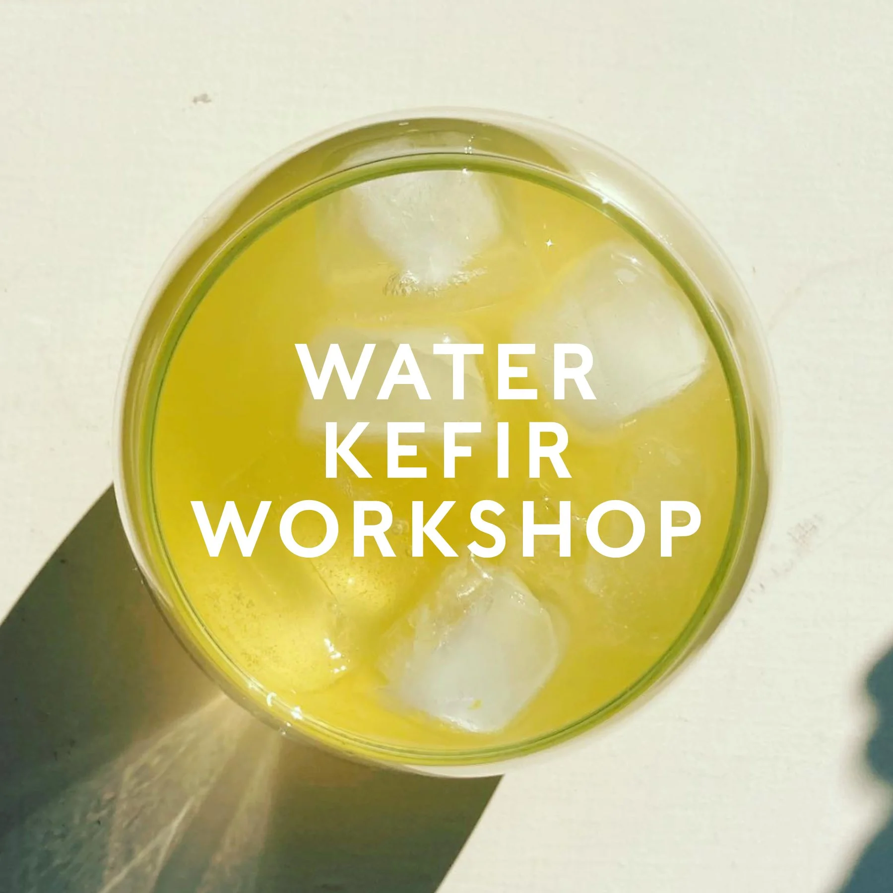Water Kefir Workshop / Friday MARCH 20th