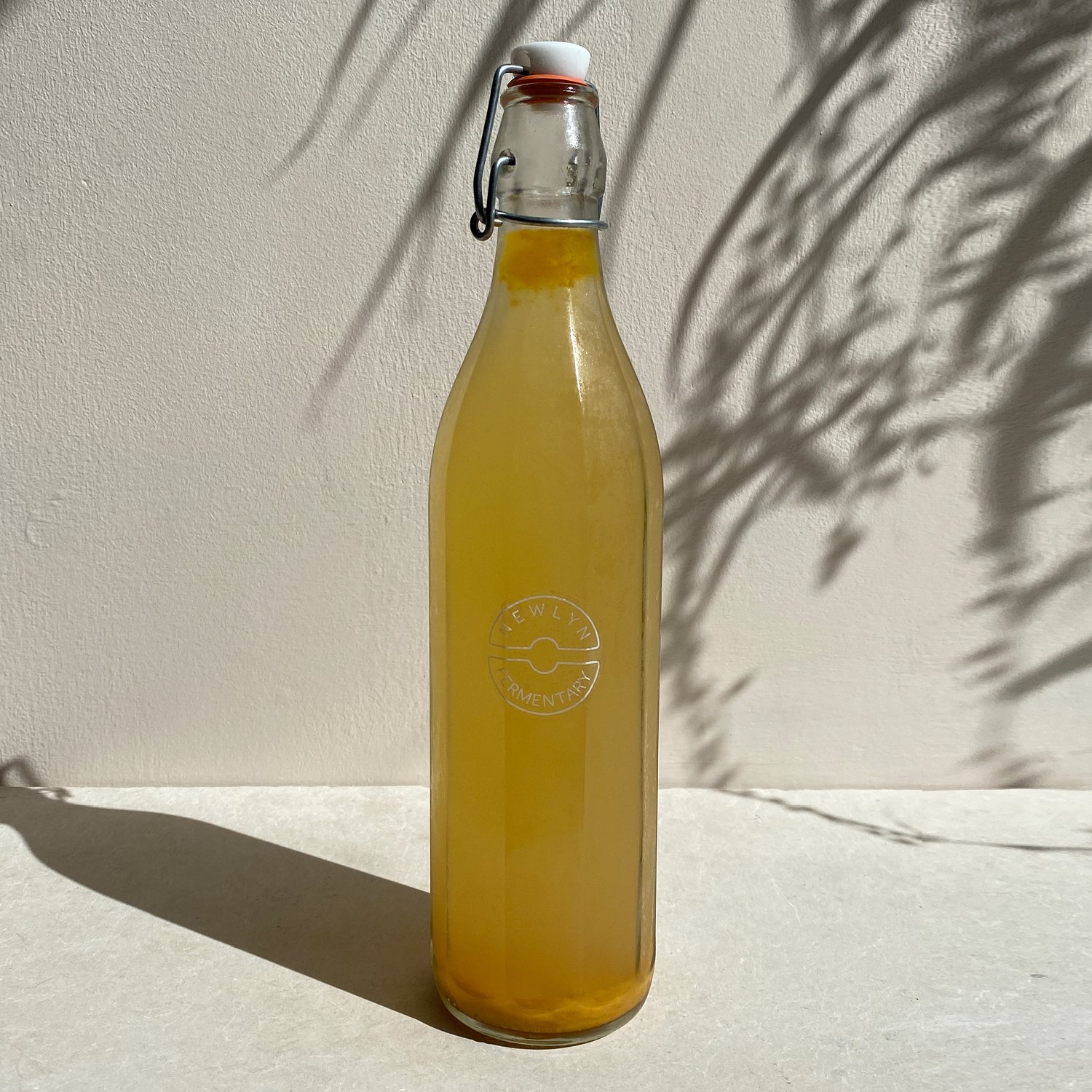 Zinger Water Kefir / 750ml