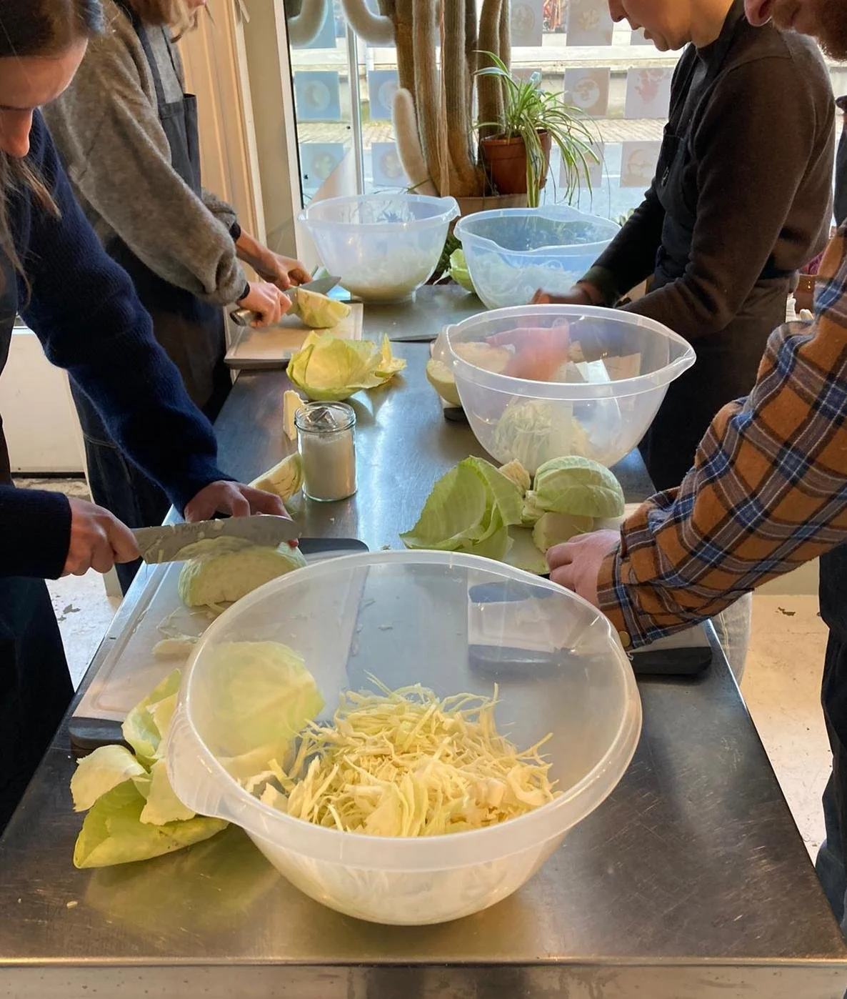 WORKSHOP_KRAUT.jpg
