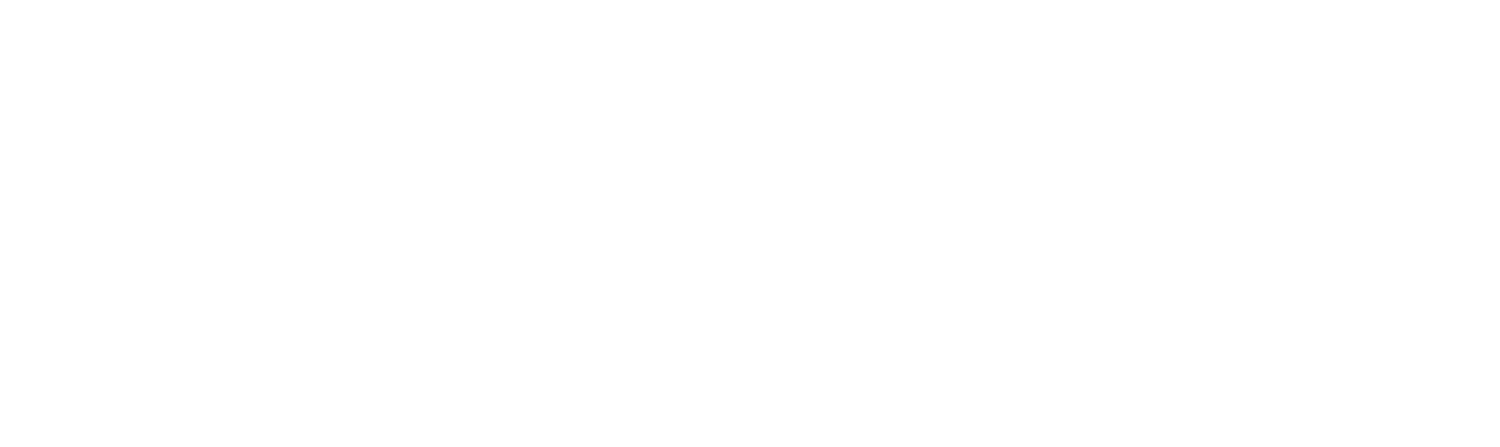 IVITY BRANDS