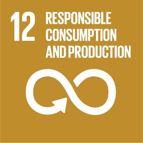 UN Sustainable Development Goal 12 - Reponsible Consumption and Production