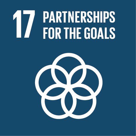 UN Sustainable Development Goal 17 - Partnerships for Goals