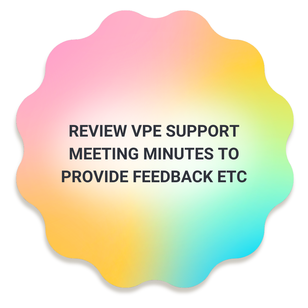  Review VPE support meeting minutes to provide feedback, etc.  