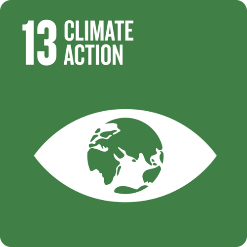SDG 13 (2).png