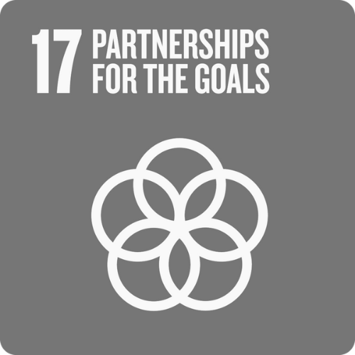 SDG 17.png