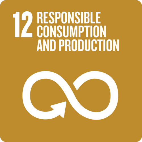 SDG 12.png